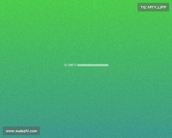 2018年FIFA世界杯冠军法国队的辉煌之路与历史性夺冠回顾